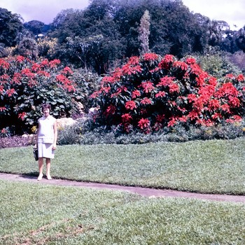 Photo of Jeanine VanKerckhove